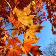 五條 紗耶 春夏秋冬🍂 ELEGANCE