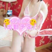 ヒメ日記 2025/08/21 19:54 投稿 ちかこ 完熟ばなな神戸・三宮店