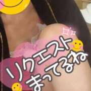 ヒメ日記 2025/09/02 07:52 投稿 ちかこ 完熟ばなな神戸・三宮店