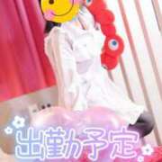 ヒメ日記 2025/11/12 20:55 投稿 ちかこ 完熟ばなな神戸・三宮店