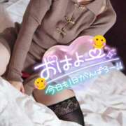 ヒメ日記 2025/12/12 06:00 投稿 ちかこ 完熟ばなな神戸・三宮店