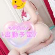 ヒメ日記 2026/01/14 09:01 投稿 ちかこ 完熟ばなな神戸・三宮店