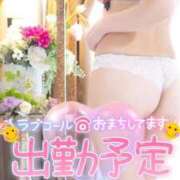 ヒメ日記 2026/02/08 09:58 投稿 ちかこ 完熟ばなな神戸・三宮店