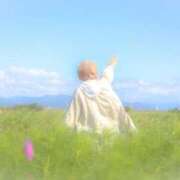 ヒメ日記 2025/08/25 07:12 投稿 はるかさん 福井人妻城