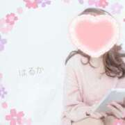 ヒメ日記 2025/08/28 02:21 投稿 はるかさん 福井人妻城