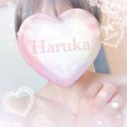 ヒメ日記 2025/09/05 01:24 投稿 はるかさん 福井人妻城