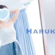 ヒメ日記 2025/09/10 00:45 投稿 はるかさん 福井人妻城