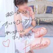 ヒメ日記 2025/10/07 22:15 投稿 はるかさん 福井人妻城