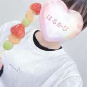 ヒメ日記 2025/10/11 11:45 投稿 はるかさん 福井人妻城