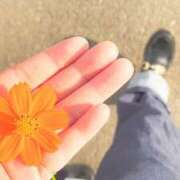 ヒメ日記 2025/10/20 22:45 投稿 はるかさん 福井人妻城