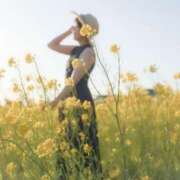 ヒメ日記 2025/10/29 20:33 投稿 はるかさん 福井人妻城