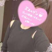 ヒメ日記 2025/11/17 23:03 投稿 はるかさん 福井人妻城