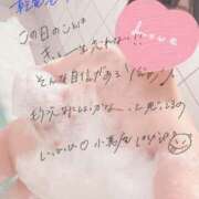 ヒメ日記 2025/11/19 02:03 投稿 はるかさん 福井人妻城