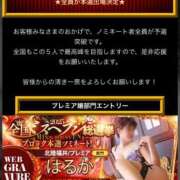 ヒメ日記 2025/11/22 00:33 投稿 はるかさん 福井人妻城