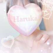 ヒメ日記 2025/11/25 00:18 投稿 はるかさん 福井人妻城