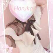 ヒメ日記 2025/12/02 08:48 投稿 はるかさん 福井人妻城