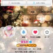 ヒメ日記 2025/12/03 08:33 投稿 はるかさん 福井人妻城