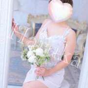 ヒメ日記 2025/12/11 04:33 投稿 はるかさん 福井人妻城