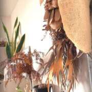 ヒメ日記 2025/06/02 12:51 投稿 るい 奥様電車