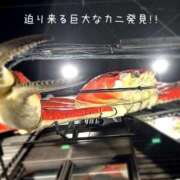 ヒメ日記 2025/06/16 01:28 投稿 るい 奥様電車