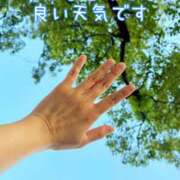 ヒメ日記 2025/07/28 06:35 投稿 るい 奥様電車