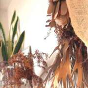 ヒメ日記 2025/08/16 19:41 投稿 るい 奥様電車