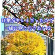 ヒメ日記 2025/11/17 01:08 投稿 るい 奥様電車