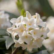 ヒメ日記 2026/03/21 19:54 投稿 るい 奥様電車