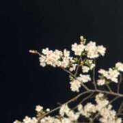 るい 遅くなってしまいましたが… 奥様電車