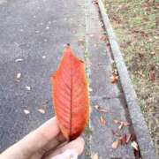 ヒメ日記 2025/11/26 09:42 投稿 ひより Hip's-group越谷本店