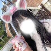 ヒメ日記 2026/04/17 14:45 投稿 るか MAHARAJA(マハラジャ)千葉