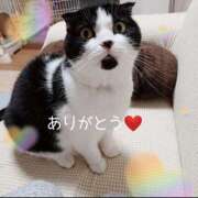 ヒメ日記 2025/08/11 21:00 投稿 ちひろ 性腺熟女100％（デリヘル市場）