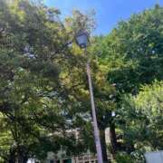 ヒメ日記 2025/08/03 11:51 投稿 あきこ 丸妻 横浜本店