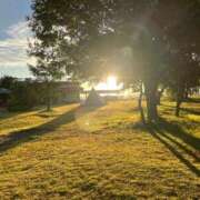 ヒメ日記 2025/11/14 01:28 投稿 あきこ 丸妻 横浜本店