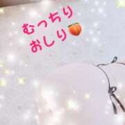 ヒメ日記 2026/02/12 10:17 投稿 あきこ 丸妻 横浜本店