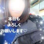 ヒメ日記 2026/02/16 10:31 投稿 あきこ 丸妻 横浜本店