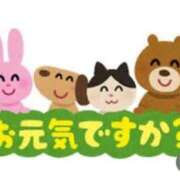 ヒメ日記 2026/06/03 08:22 投稿 なな しゃんぜりぜ
