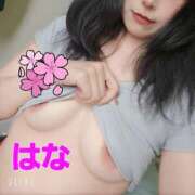 ヒメ日記 2025/06/28 00:20 投稿 はな 京都出張メンズエステChou Chou（シュシュ)