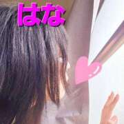 ヒメ日記 2025/06/30 07:20 投稿 はな 京都出張メンズエステChou Chou（シュシュ)