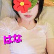 ヒメ日記 2025/09/11 18:50 投稿 はな 京都出張メンズエステChou Chou（シュシュ)