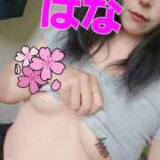 ヒメ日記 2025/09/25 10:40 投稿 はな 京都出張メンズエステChou Chou（シュシュ)