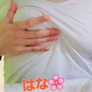 ヒメ日記 2026/01/22 10:20 投稿 はな 京都出張メンズエステChou Chou（シュシュ)