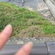 ヒメ日記 2026/08/11 16:20 投稿 はな 京都出張メンズエステChou Chou（シュシュ)