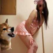 ヒメ日記 2025/11/03 08:26 投稿 愛結(あゆ) DAHLIA(ダリア)