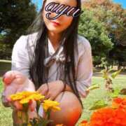 ヒメ日記 2025/11/11 06:57 投稿 愛結(あゆ) DAHLIA(ダリア)