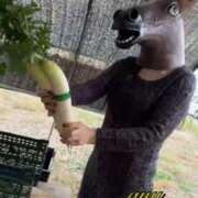 ヒメ日記 2025/11/22 11:45 投稿 愛結(あゆ) DAHLIA(ダリア)