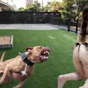 ヒメ日記 2025/11/27 01:41 投稿 愛結(あゆ) DAHLIA(ダリア)