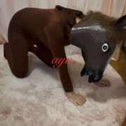 ヒメ日記 2026/02/08 10:54 投稿 愛結(あゆ) DAHLIA(ダリア)