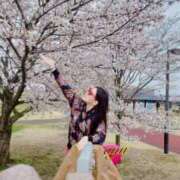 ヒメ日記 2026/04/04 11:46 投稿 愛結(あゆ) DAHLIA(ダリア)