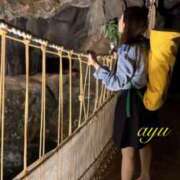ヒメ日記 2026/08/14 08:54 投稿 愛結(あゆ) DAHLIA(ダリア)